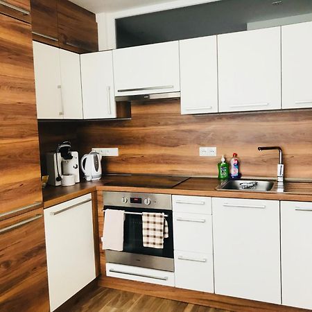 Jenys Apartment Teplice Bagian luar foto